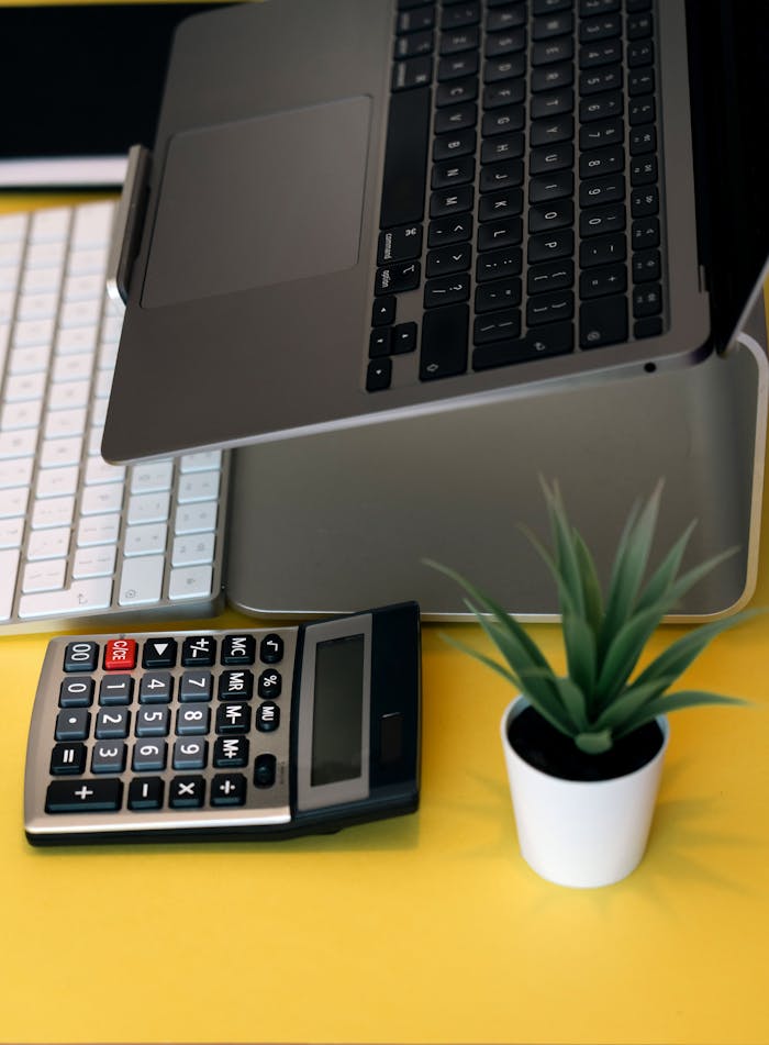 services-01 Vertical shot of a workspace with laptop, calculator, and potted plant on a vibrant yellow desk.